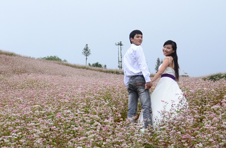 Lãng mạn bộ ảnh cưới cùng hoa tam giác mạch - 4 Sa Pa