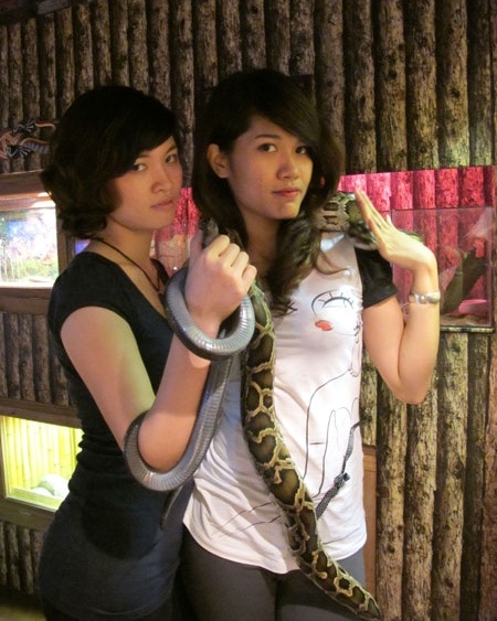 Cà phê “run rẩy” - Thú chơi mới của teen Hà thành - 2 Tạo dáng với trăn và rắn tại Pet cafe.