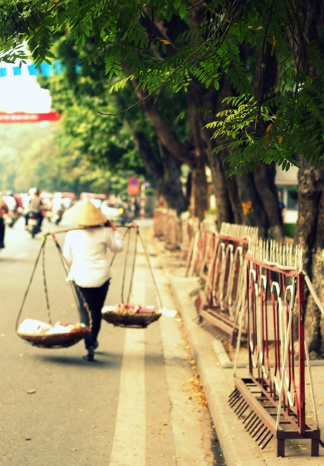 Lãng mạn Hà Nội những ngày cuối thu… - 14 Cụ già ngắm nhìn hạnh phúc của đôi trẻ.