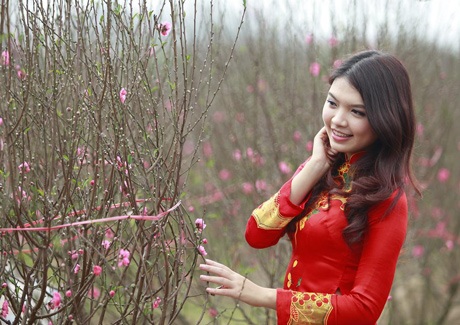 Hoa khôi Imiss Thùy Dương đọ sắc bên cánh đào Xuân - 11 Hoàng Dung