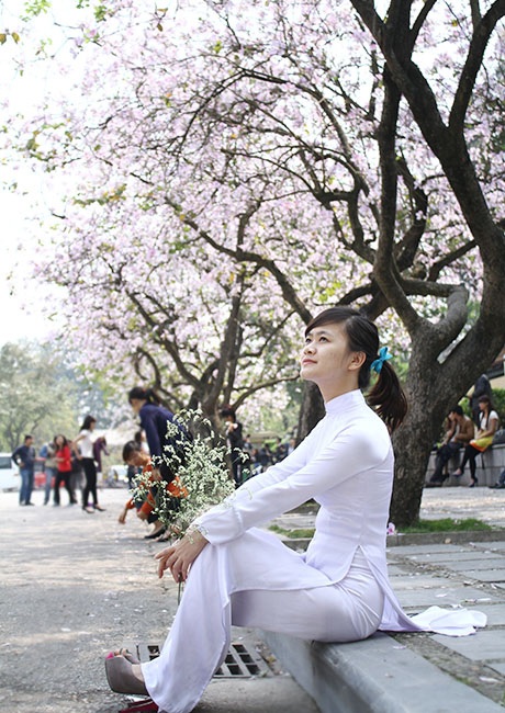 Nữ sinh Hà thành đua nhau khoe dáng trên "con đường hoa ban" - 12 Thiếu nữ mặc áo dài, chụp ảnh với hoa ban