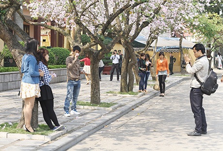 Nữ sinh Hà thành đua nhau khoe dáng trên "con đường hoa ban" - 6 Nắng lên, giới trẻ hào hứng tạo dáng bên hoa ban