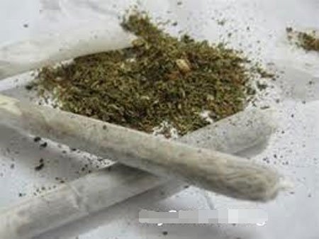 Thuốc “cỏ”. Ảnh minh họa