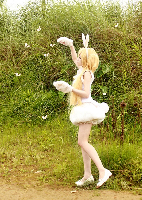"Công chúa" cosplay Chibi hóa thành thỏ con đáng yêu - 6 M