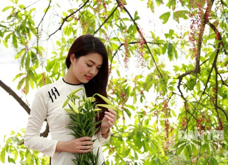 Ngắm hoa khôi Thùy Dương rạng ngời bên sắc loa kèn - 9 Vũ Phong