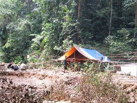 5 phu trầm bị giết hại dã man: Đã bắt được hai nghi phạm