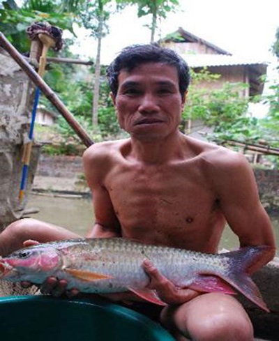 5 loài cá tiến vua huyền thoại của Việt Nam - 3 5 loài cá tiến vua huyền thoại của Việt Nam