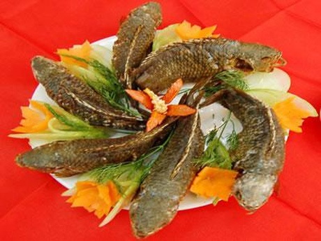 5 loài cá tiến vua huyền thoại của Việt Nam - 9 Cá tràu là loài cá thuộc họ cá quả, có khá nhiều ở Việt