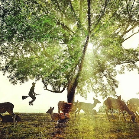 Xem chàng trai Nhật “bay” như Harry Potter - 11 Vũ Phong