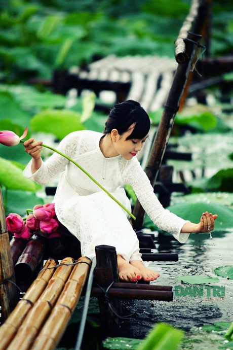 Nữ sinh trường Báo yêu kiều bên sắc sen hồng - 8 Nguyễn Ngọc