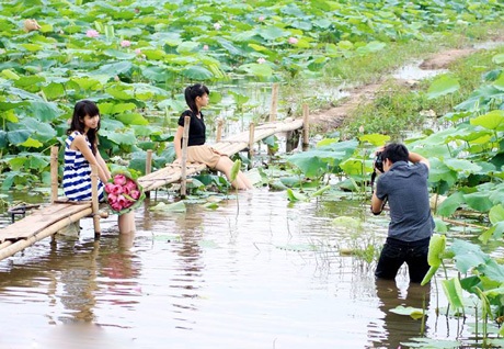 Những dịch vụ “chiều lòng” khách teen mùa sen - 1 Để có những bức hình lung linh của bạn trẻ tại hồ sen, các tay máy trẻ không ngần ngại chịu khổ.
