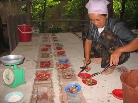 Dựng tóc gáy ở “làng tử thần” - 3 Cận cảnh một “ông rắn hổ” trong chuồng nuôi nhốt.