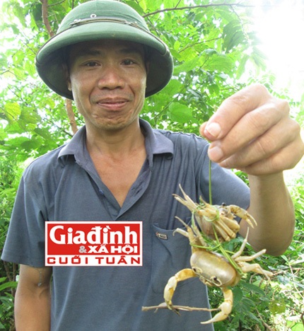 Nỗi hàm oan của “cua trinh nữ” độc nhất vô nhị - 2 Anh Mao trổ tài bắt cua. Ảnh: T.G