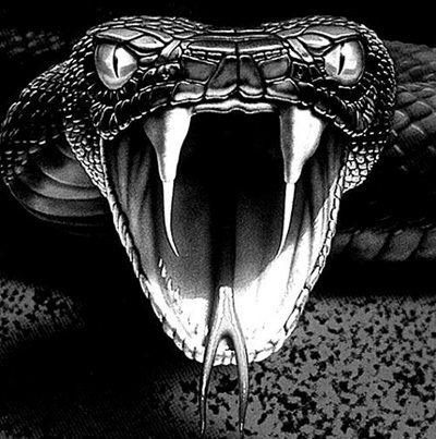 Chặt đầu trăn khổng lồ