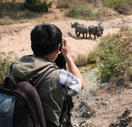 Người Việt điều tra về thảm sát tê giác(2): “Gáo nước lạnh” dội xuống từ… mặt trăng!