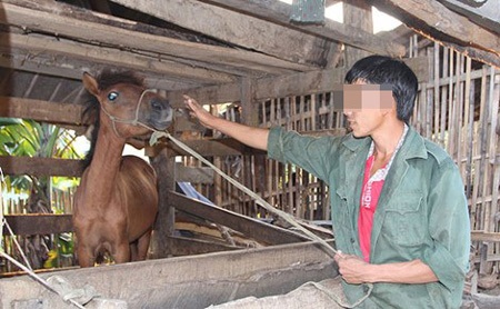 Những đám cưới cận huyết buốt lòng giữa mây cao - 2 Một chứng nhân của hôn nhân cận huyết