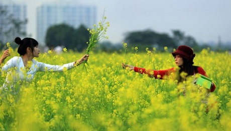 Một điểm trông xe với biểu tượng không thể rõ ràng hơn