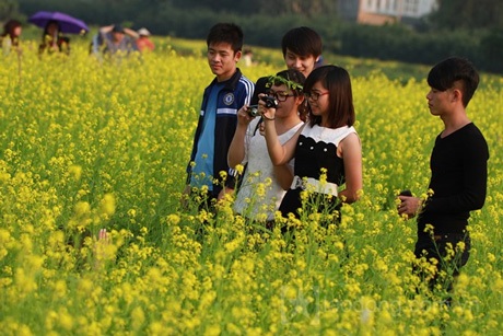 Nhóm SV trường Đại học Nông nghiệp cũng tranh thủ chụp ảnh trên vườn cải ngay cạnh trường