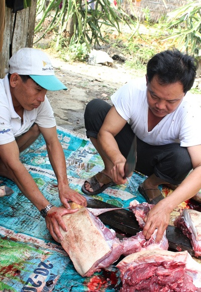 Cùng nhau tham gia mổ heo