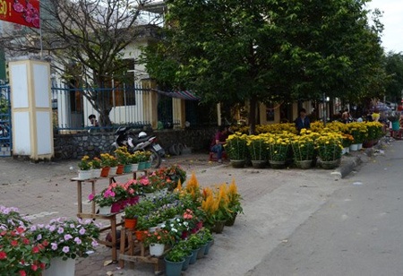 Chợ hoa xuân đường Phạm Văn Đồng đìu hiu khách thăm.