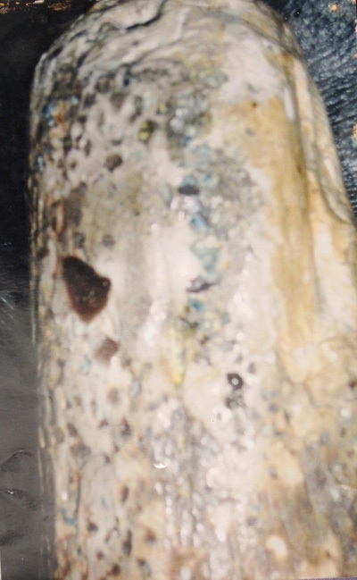 Chủ nhân ngà voi cổ hóa thạch giá 2 triệu đô - 4 Thủy tinh nham thạch đủ màu bám lên ngà voi.