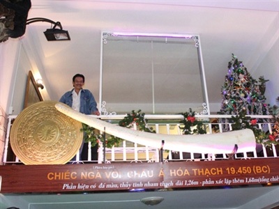 Chủ nhân ngà voi cổ hóa thạch giá 2 triệu đô - 2 Ngà voi phục dựng dài 2,94m.