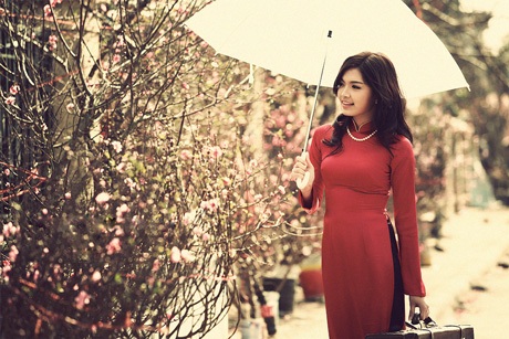 Hoa khôi Thùy Dương rực rỡ khoe sắc bên vườn Xuân - 2 Hoàng Dung