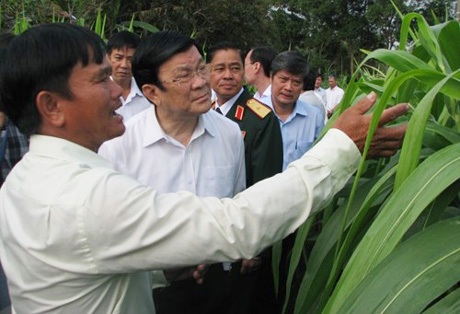 Chủ tịch nước Trương Tấn Sang: Cần quan tâm đời sống tinh thần của người dân - 1 Chủ tịch nước Trương Tấn Sang, thăm ruộng ngô của nông dân sản xuất giỏi Trần Văn Út.