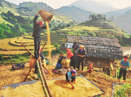 Ngắm nụ cười Việt giản dị trong ngày Quốc tế Hạnh phúc - 11 Ngày mùa vui thôn xóm