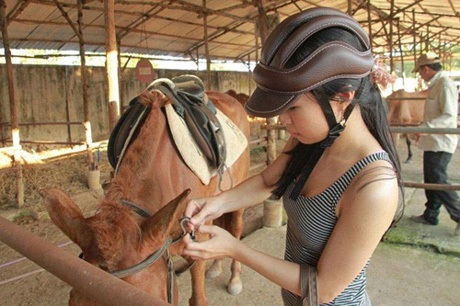 Bạn trẻ Sài thành rủ nhau học cưỡi ngựa - 1 Bạn trẻ lựa chọn ngựa