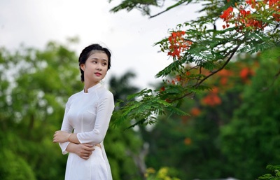 Nữ sinh Kinh tế mộng mơ bên phượng hồng rực đỏ