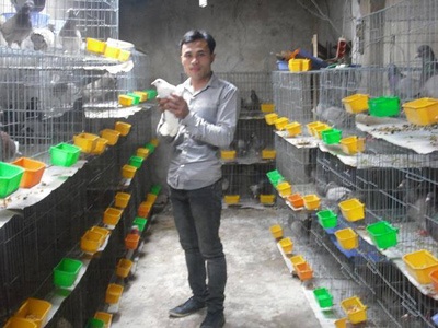 Thu nhập tiền tỉ từ nghề nuôi chim - 1 Nguyễn Văn Phúc