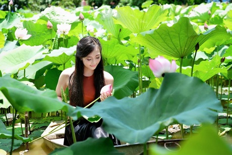 Sợ chen chúc hồ Tây, bạn trẻ đổ ra sen ngoại thành chụp ảnh - 3 Một số đầm sen quanh Hà Nội cũng long lanh không kém.