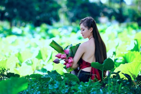 Sợ chen chúc hồ Tây, bạn trẻ đổ ra sen ngoại thành chụp ảnh - 4 Một số đầm sen quanh Hà Nội cũng long lanh không kém.