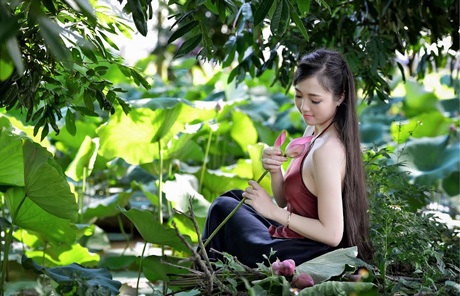 Nữ sinh Ngân hàng e ấp bên sen đầu mùa - 4 Hoàng Dung