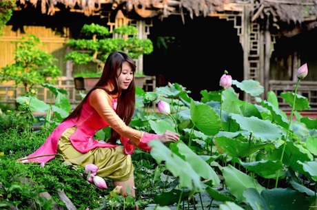 Ngắm nữ sinh Ngoại giao đọ sắc bên sen cuối mùa - 1 Hoàng Dung