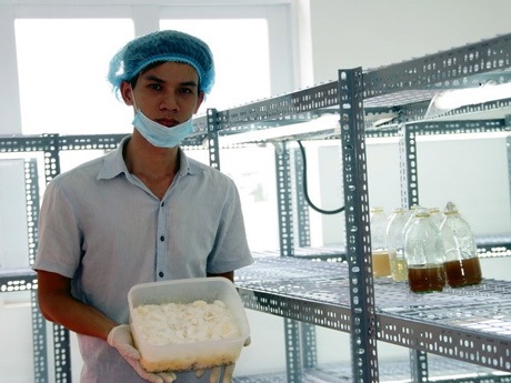Chàng trai 9X bán vé số dạo trồng thành công đông trùng hạ thảo - 1 Chàng trai 9X Ngô Kim Lai.