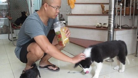 Anh Dũng và chú chó chăn cừu.