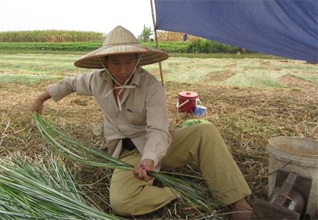Trào lưu “gap year” của giới trẻ dưới góc nhìn chuyên gia (Kỳ 3) - 3 Trần Hùng John và những trải nghiệm khó quên tại Việt Nam.