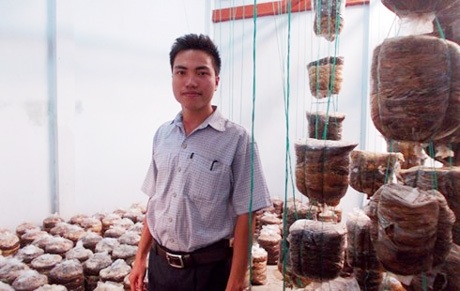 Phước Lai trong phòng thí nghiệm nấm bào ngư.