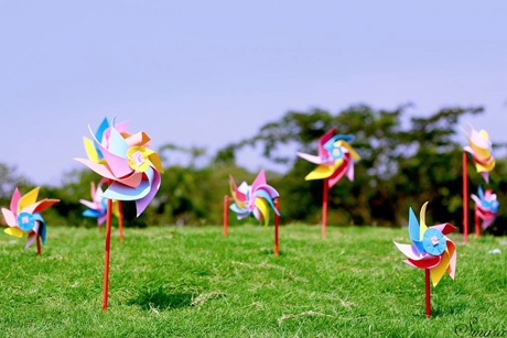 Mùa thu chạm những cung đàn…rất nhẹ