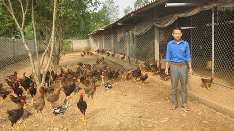 Những tỷ phú nông dân trẻ - 2 Trần Văn Hải bên đàn gà