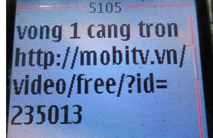 Các nhà mạng gần như bỏ mặc thượng đế chịu trận