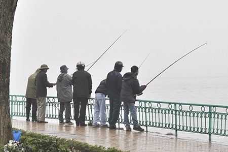 Hàng trăm “cần thủ” trộm cá giữa ban ngày ở Hồ Tây - 2 Trên đoạn đường Thanh Niên, dăm bẩy người túm tụm thành một hội câu cá