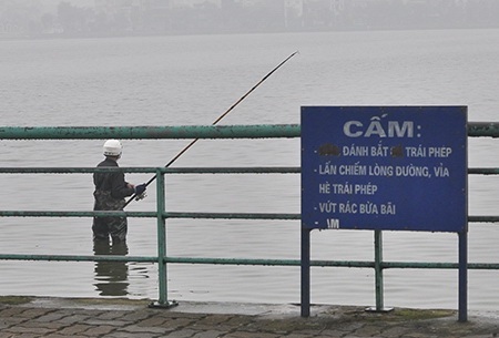 Hàng trăm “cần thủ” trộm cá giữa ban ngày ở Hồ Tây - 4 Càng cấm, càng làm