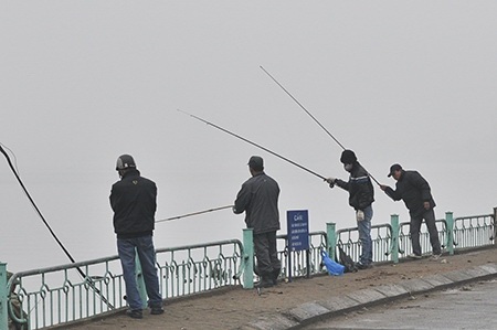Hàng trăm “cần thủ” trộm cá giữa ban ngày ở Hồ Tây - 5 Một “cần thủ” trong tay lợi phẩm của mình