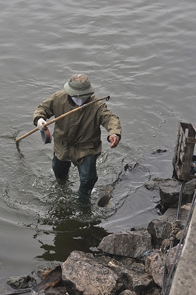 Hàng trăm “cần thủ” trộm cá giữa ban ngày ở Hồ Tây - 6 Một “cần thủ” trong tay lợi phẩm của mình