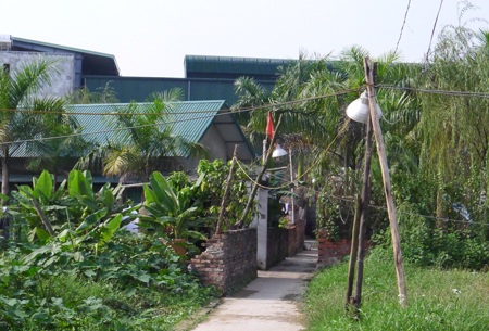 Hơn 1000 nhân khẩu đang sinh sống tại đây có thể rơi vào cảnh màn trời chiếu đất