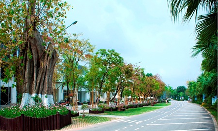 Cuộc sống xanh ở Ecopark - 4 Cuộc sống xanh ở Ecopark