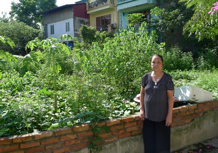 Bà Luyến bức xúc vì cách trả lời mập mờ và thiếu thuyết phục của quận Long Biên